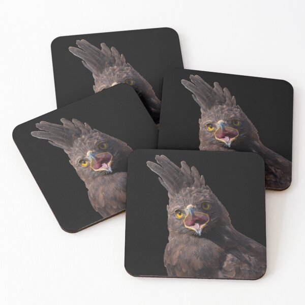 Item preview, Long Crested Eagle Screeching designed and sold by Dylan Lawrence.