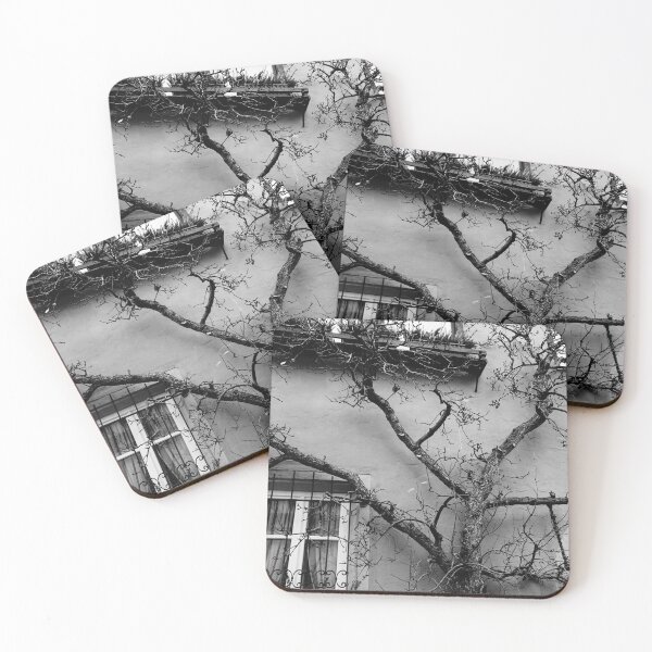 Item preview, Tree In Front Of A House designed and sold by Catavan.