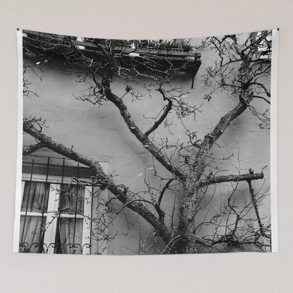 Item preview, Tree In Front Of A House designed and sold by Catavan.