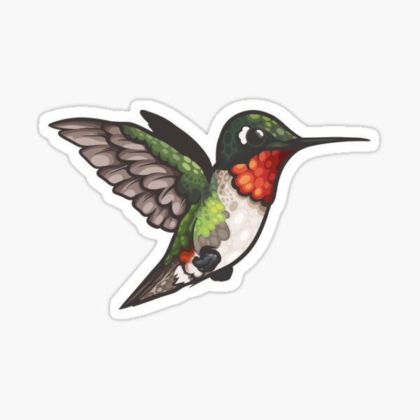 Floral Hummingbirds Humming Bird Lover Watcher' Sticker