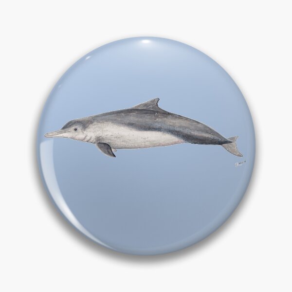 Item preview, Australian humpback dolphin (Sousa sahulensis) designed and sold by chloeyzoard.