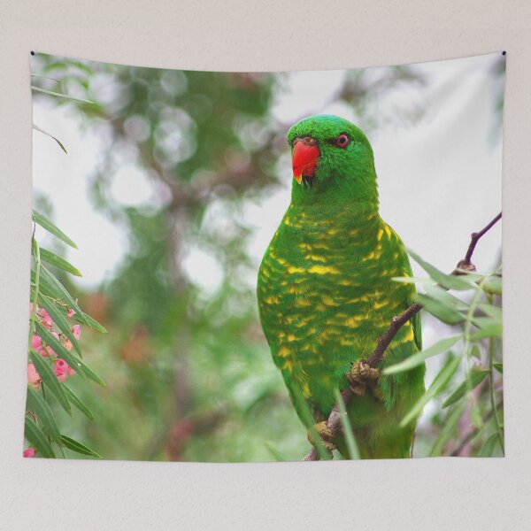 Item preview, Scaly Breasted Lorikeet designed and sold by Penny Kittel.