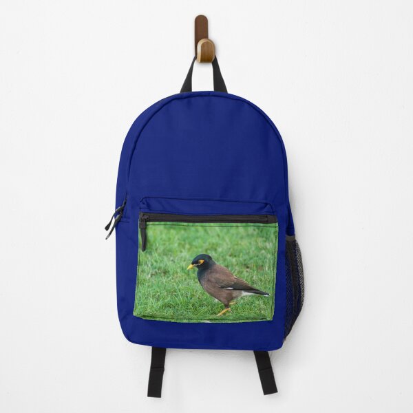 Item preview, Common Myna designed and sold by KensLensDesigns.