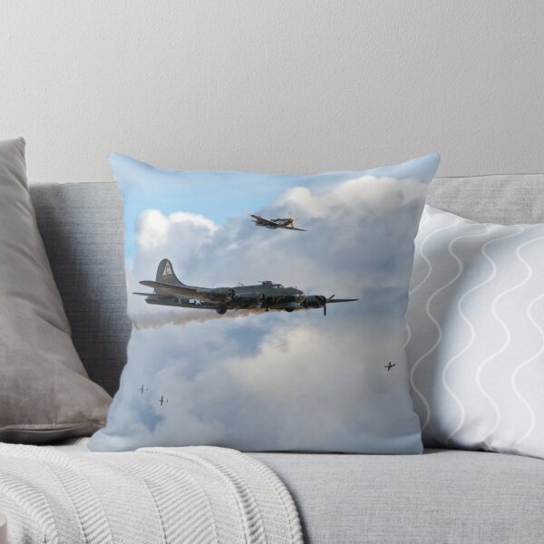 Item preview, Old Hickory's last trip designed and sold by Flight Artworks.