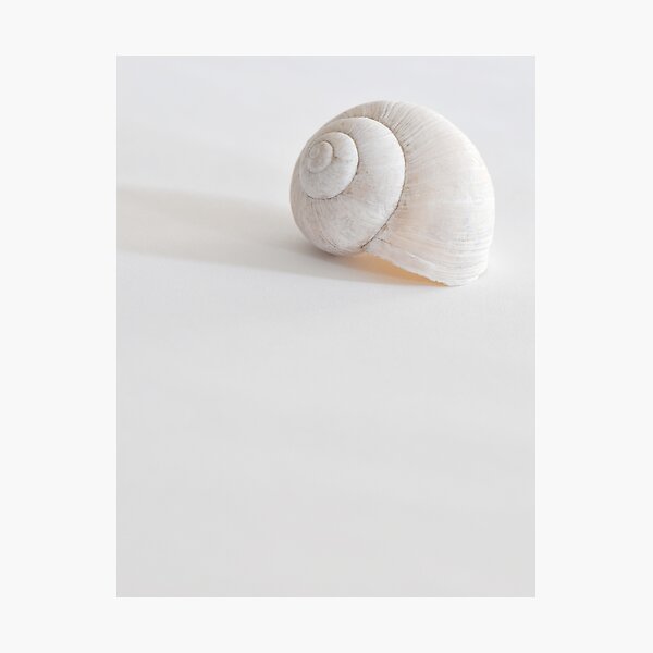 Item preview, White on white designed and sold by Denitsa Prodanova.