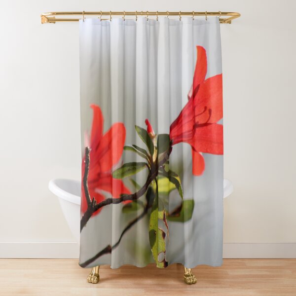 Fiery Bright Red Azalea Flower Blossom Shower Curtain