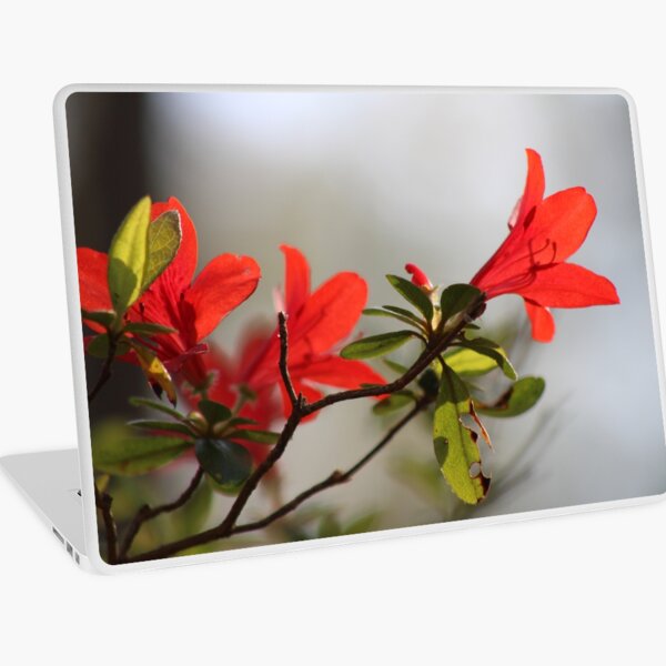 Fiery Bright Red Azalea Flower Blossom Laptop Skin