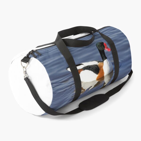 Item preview, Common Shelduck designed and sold by Andy Harker.