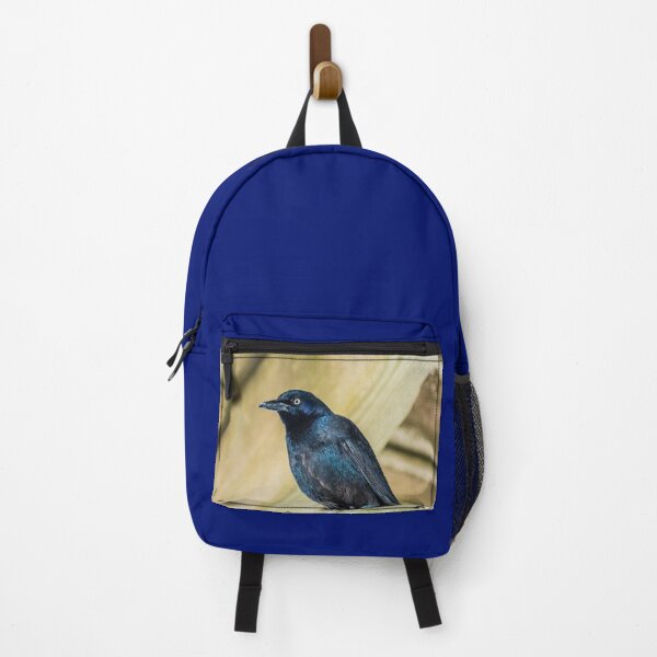 Item preview, Boat-tailed Grackle designed and sold by KensLensDesigns.