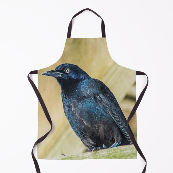 Item preview, Boat-tailed Grackle designed and sold by KensLensDesigns.