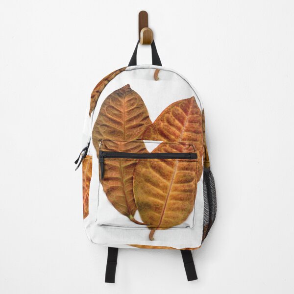 Item preview, Croton Heart designed and sold by Phagoo.