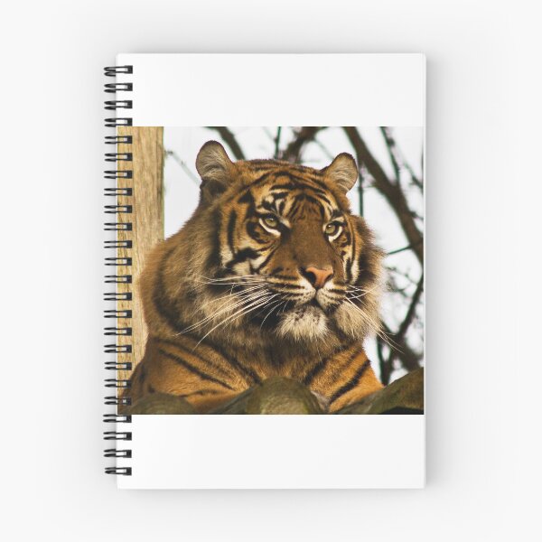 Item preview, Resting Tiger designed and sold by Roger Green.