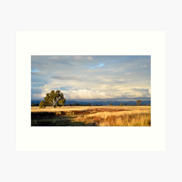 Item preview, View from Stoney Creek Road, Narrabri designed and sold by Elizabeth McPhee.