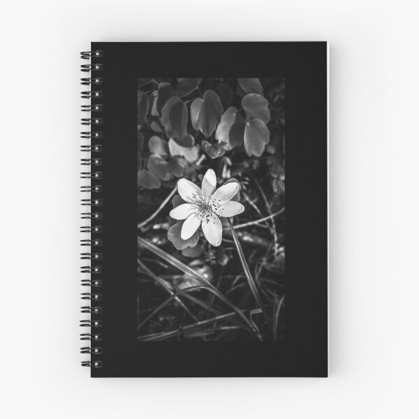 Item preview, Windflower designed and sold by OutBeyond.