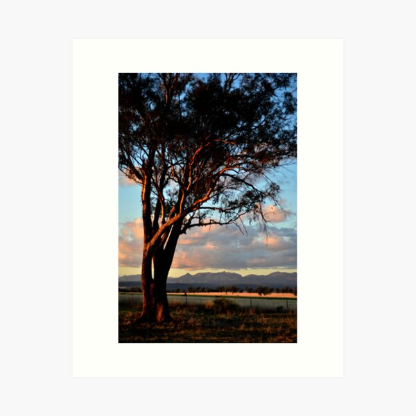 Item preview, Sunset view of Nandewar Range designed and sold by Elizabeth McPhee.