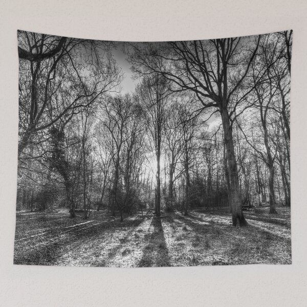 Item preview, The Monochrome Sun Ray Forest designed and sold by Londonimages.