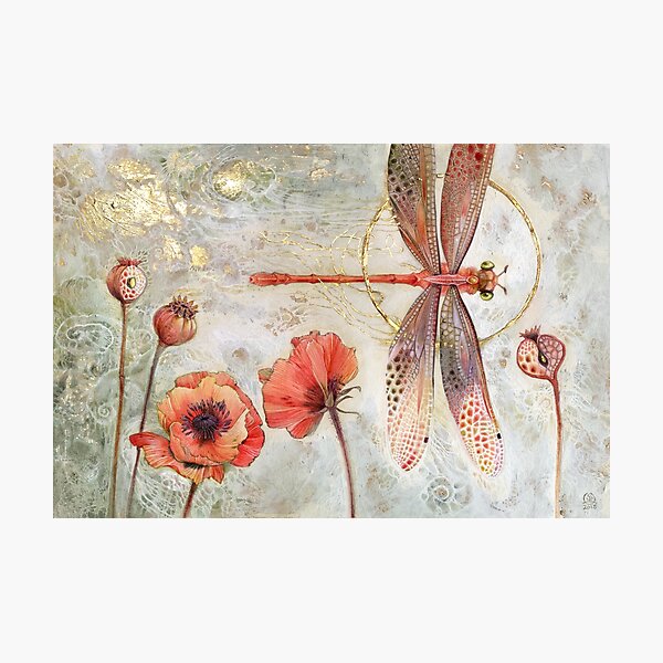 Red Jewel Damselfly Photographic Print