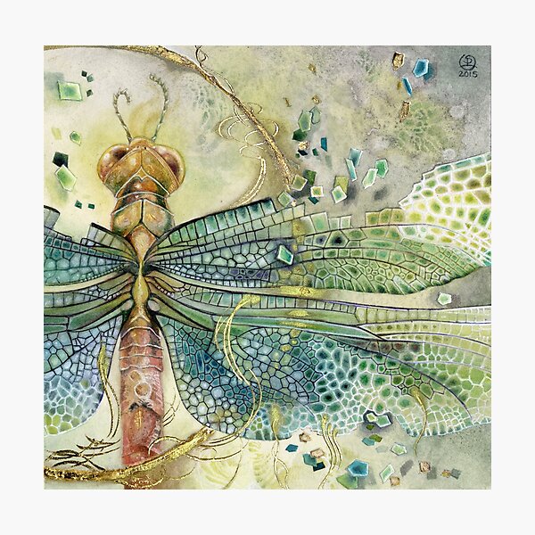 Green Jewel Dragonfly Photographic Print