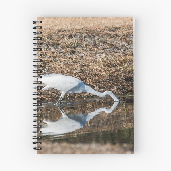 Item preview, Great egret 6 designed and sold by KensLensDesigns.