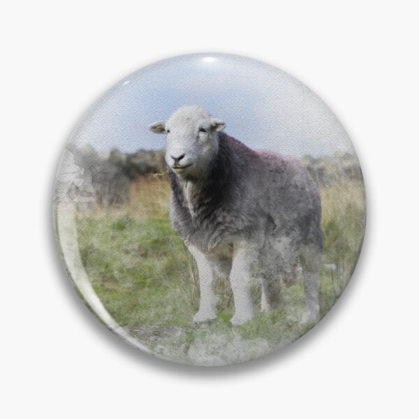 Item preview, Herdwick Sheep Watercolour Photograph designed and sold by Jane Stanley Photography.
