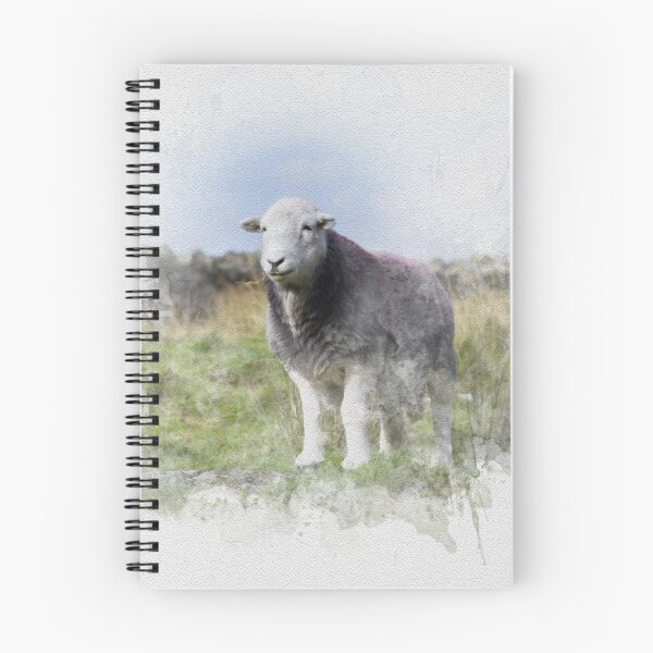 Item preview, Herdwick Sheep Watercolour Photograph designed and sold by Jane Stanley Photography.