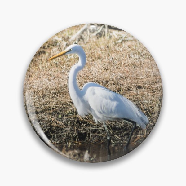 Item preview, Great egret 3 designed and sold by KensLensDesigns.