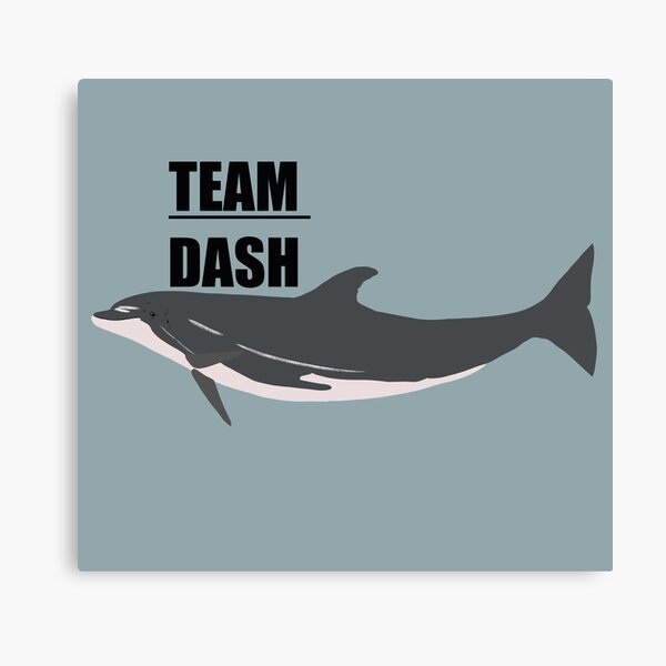 “Team Dash” the bottlenose dolphin Canvas Print