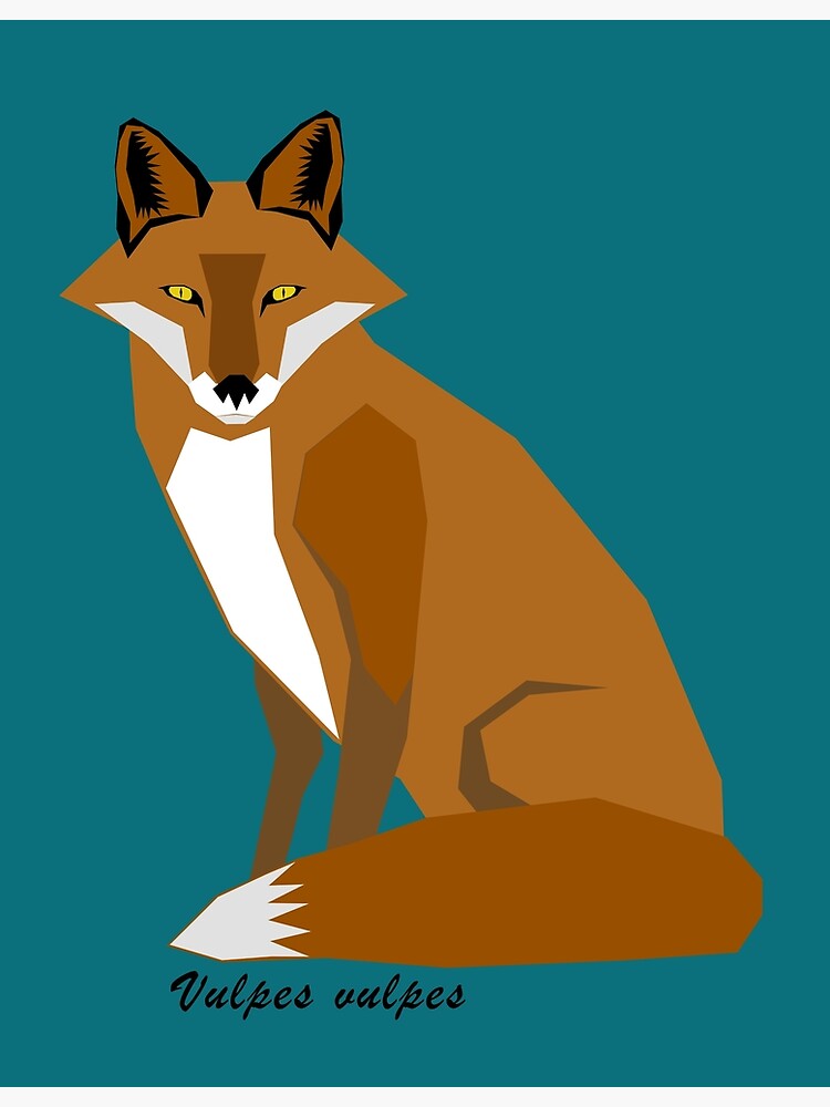 "Red Fox Geometric Art with Scientific Name Text and Teal Background