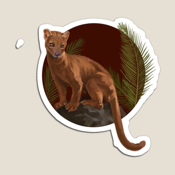 Fossa Magnet