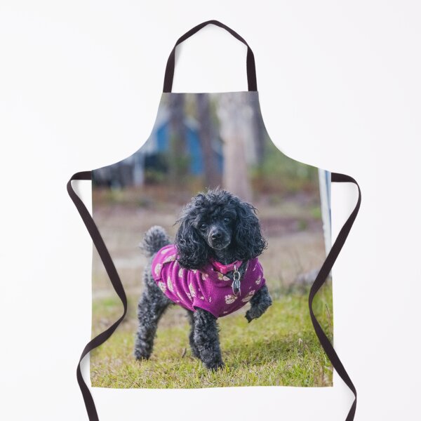 Item preview, Poodle, Toy 3 designed and sold by KensLensDesigns.