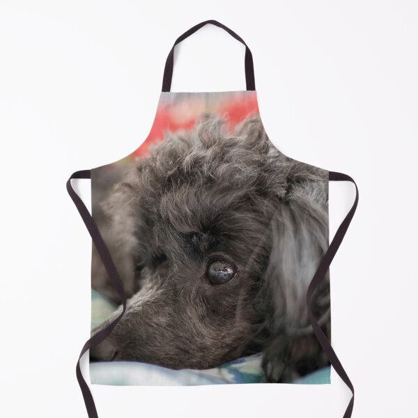 Item preview, Poodle Toy designed and sold by KensLensDesigns.