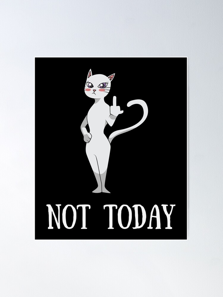 Not Today! Cute rude Middle Finger Cat Lady Gifts' Men's T-Shirt