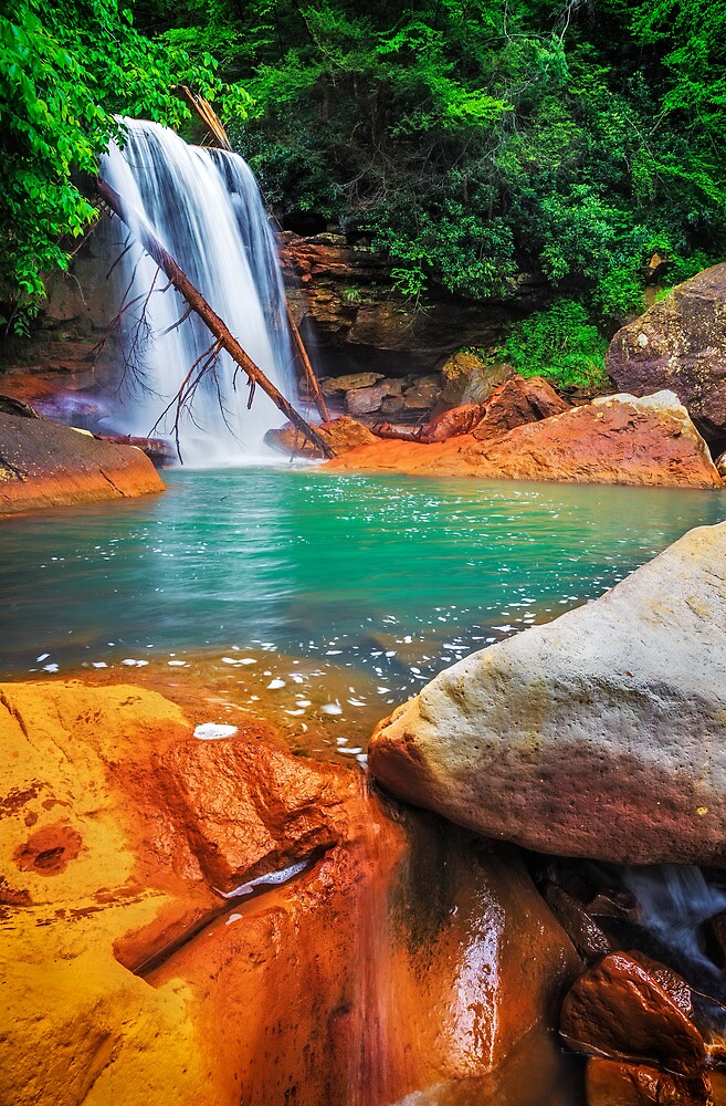 "Secluded Vibrance Douglas Falls, Thomas, WV" by Matthew Kocin