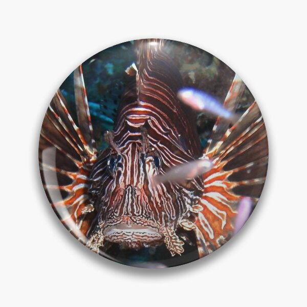 Item preview, Caribbean Lion Fish guarding the Coral Reef designed and sold by Amy McDaniel.