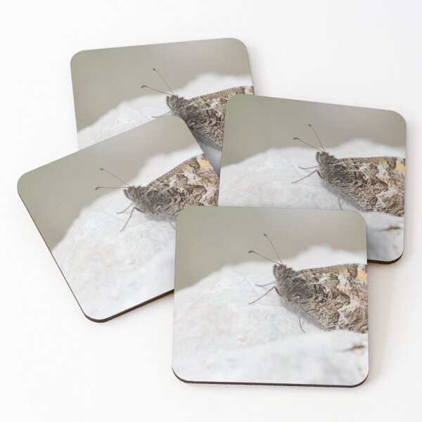Item preview, Grayling designed and sold by LaurenTucker.