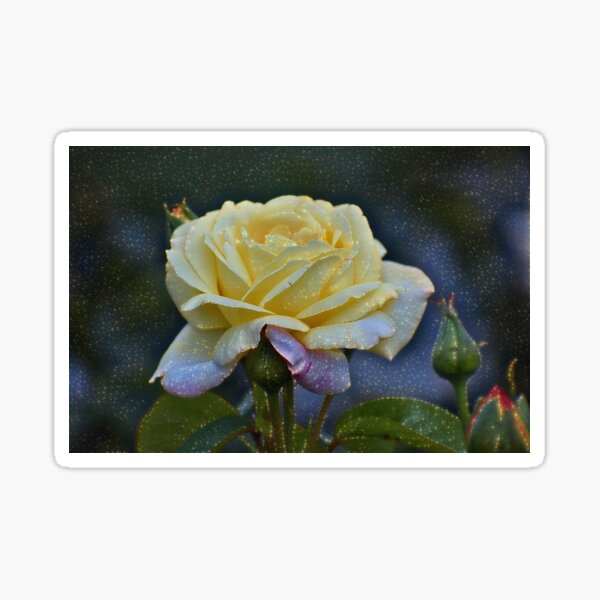 Item preview, Magical Yellow Rose designed and sold by ReneeKennedy.