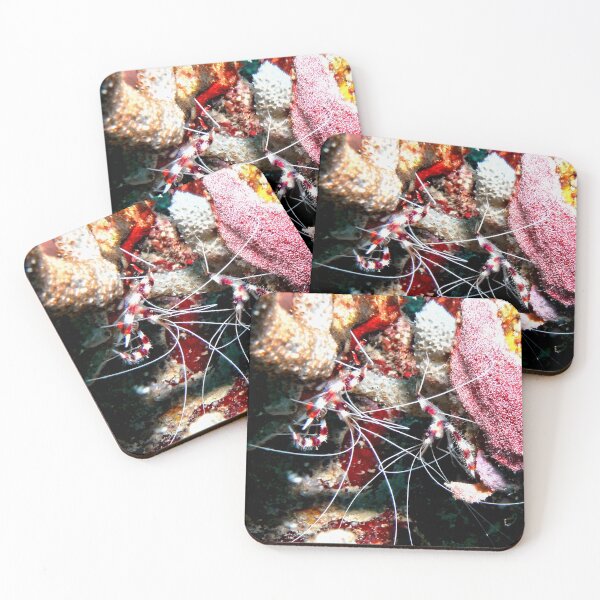 Item preview, Banded Cleaner Shrimp on the Coral Reef designed and sold by Amy McDaniel.