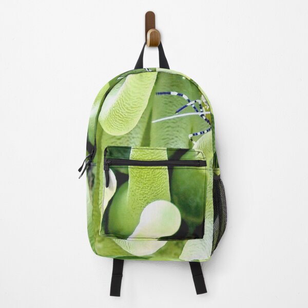 Item preview, Spotted Cleaner Shrimp posing on Giant Green Sea Anemone designed and sold by Amy McDaniel.
