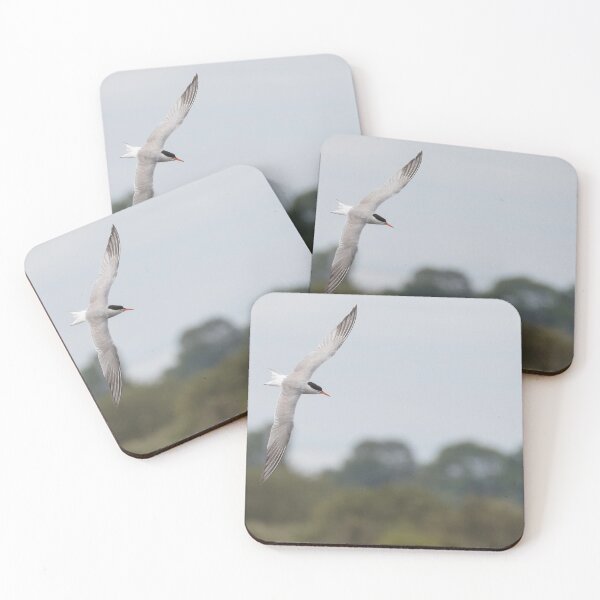 Item preview, Common Tern designed and sold by LaurenTucker.
