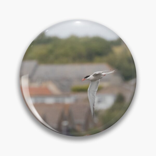 Item preview, Common Tern designed and sold by LaurenTucker.