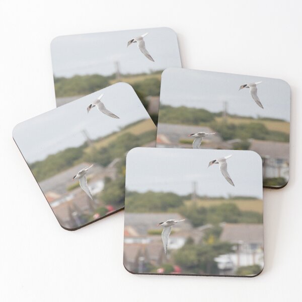 Item preview, Common Tern designed and sold by LaurenTucker.