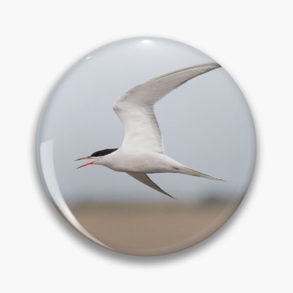 Item preview, Common Tern designed and sold by LaurenTucker.