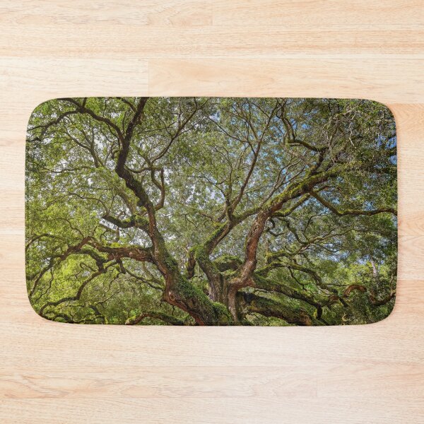 Item preview, ANGEL OAK TREE CHARLESTON SOUTH CAROLINA designed and sold by LandscapeArtCP.
