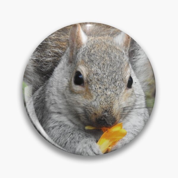 Item preview, Thank you for always bringing me treats. designed and sold by wenniewombat.