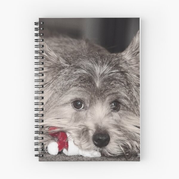 Item preview, The Dog Ate Santa designed and sold by Susan Stone.