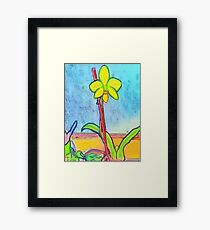 Orchid Framed Print