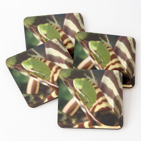Item preview, Ribbit!  designed and sold by AGODIPhoto.