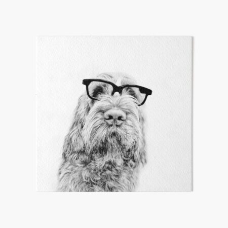 Intelligent friend Spinone Art Board Print