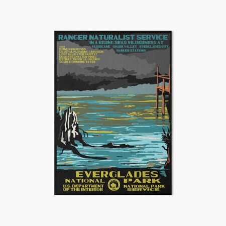 National Parks 2050: Everglades Art Board Print