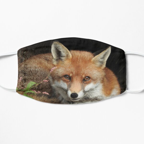 Beautiful Fox Gifts Merchandise Redbubble - roblox serene kitsune mask